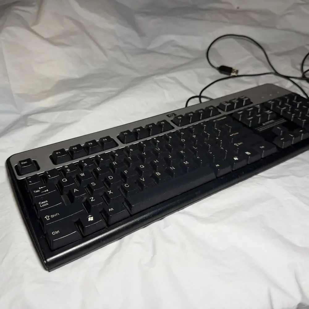 Genuine HP 104 Keys Standard Black/Silver USB-Wired Keyboard KU-0316 With Mouse